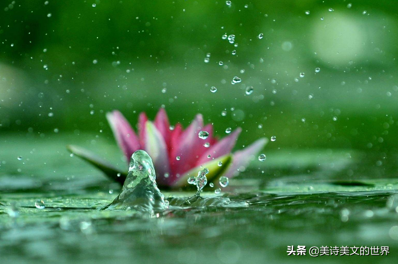 “好雨知时节，当春乃发生”中“发生”到底何意？不少人理解错了