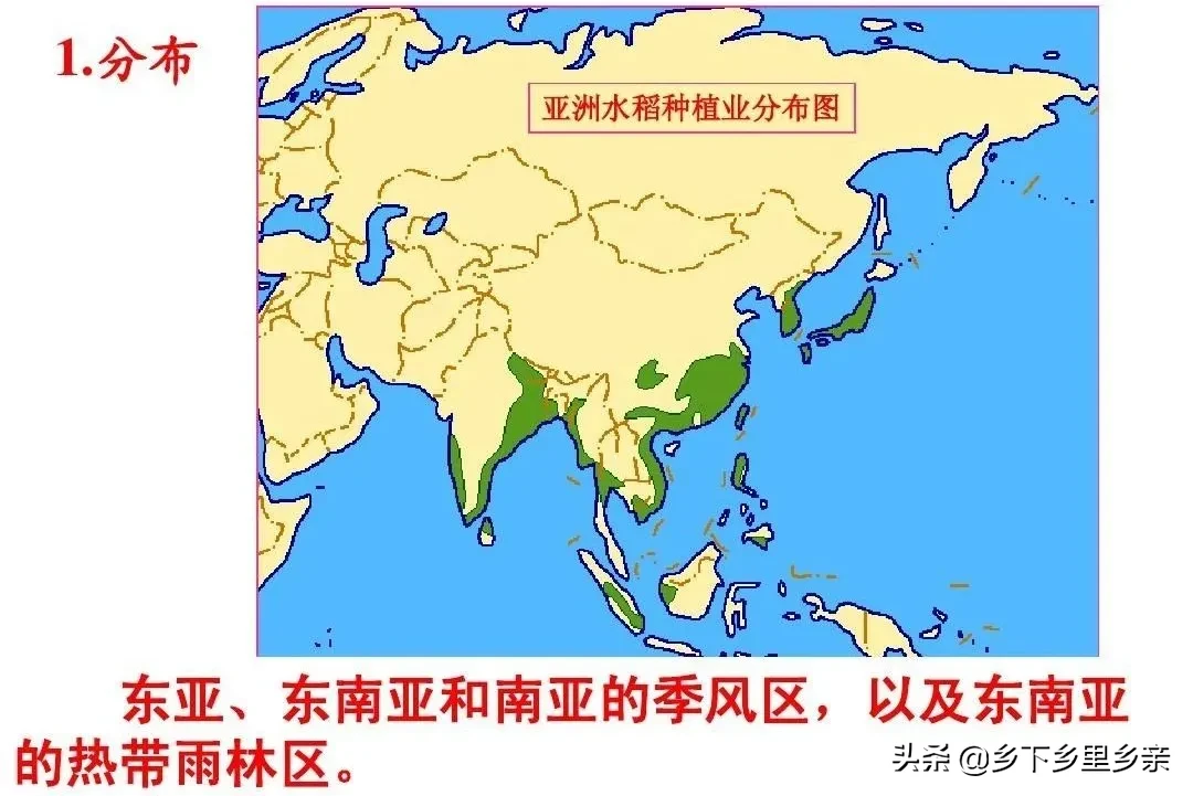 农业地域类型总结