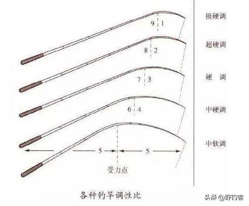 鱼竿28调什么意思(钓鱼18调28调37调讲解)