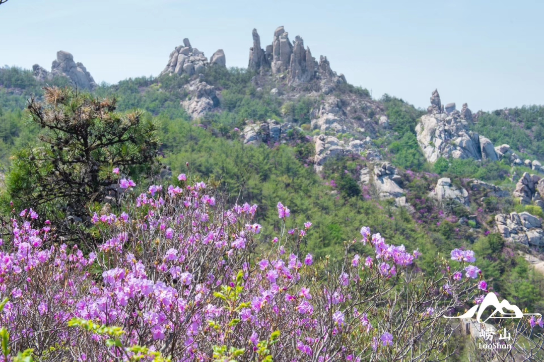 崂山旅游攻略（五一去崂山好玩吗）