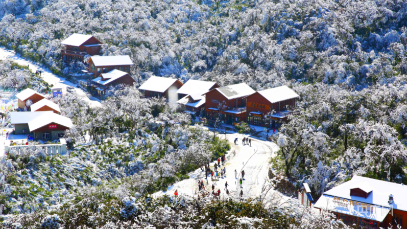 金佛山门票（重庆春节免门票）