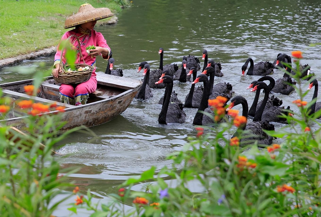 长隆万圣节（广州长隆五大主题乐园）