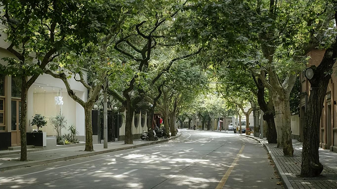 去上海住哪个位置比较好（上海繁华的街道）