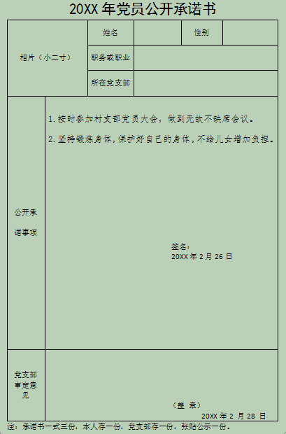 共产党员公开承诺书(党建资料：党员公开承诺书模板)