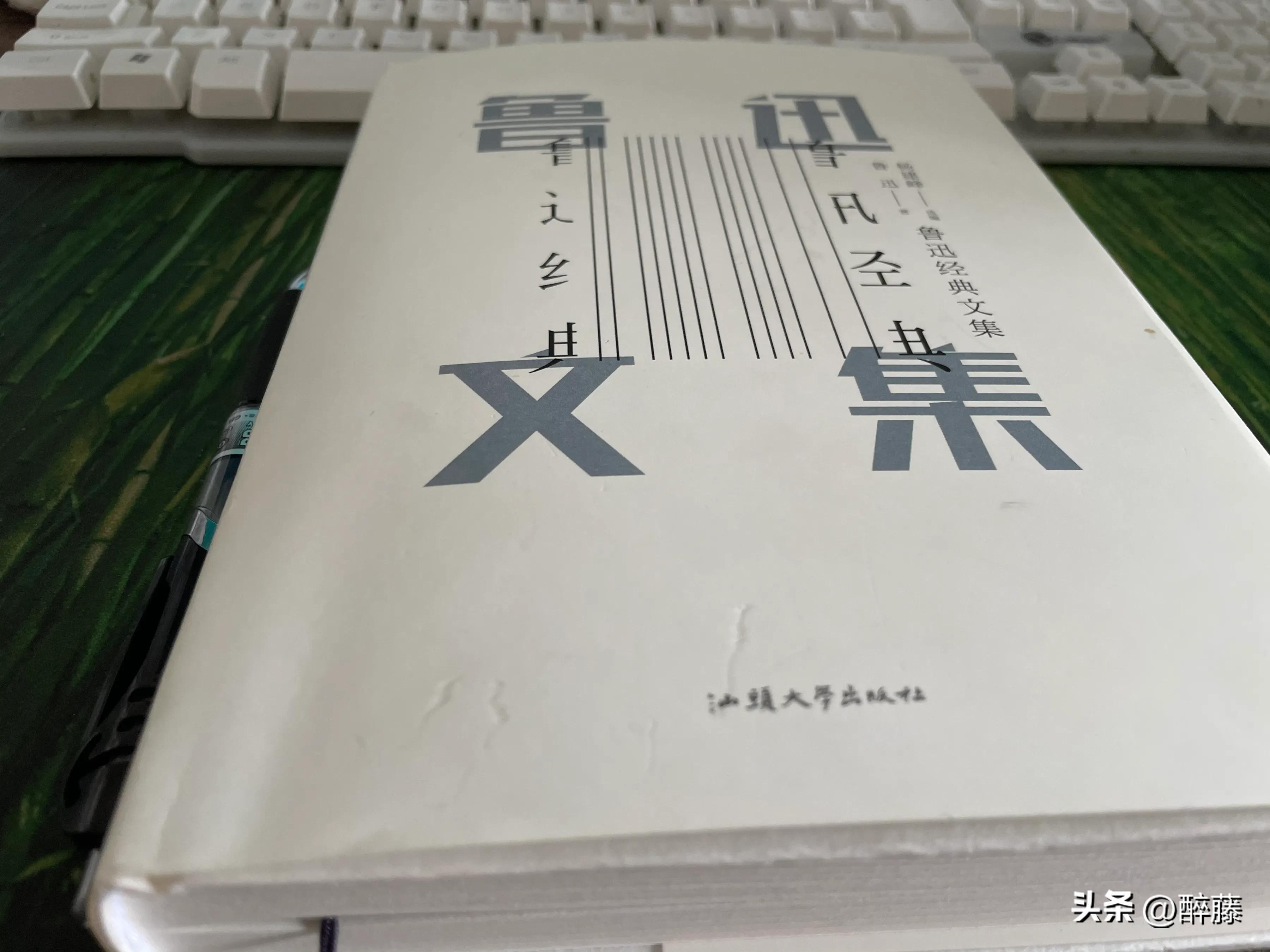 鲁迅作品读后感(《鲁迅文集》读后感)