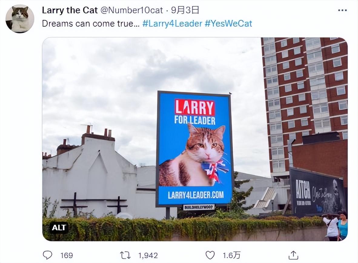 御猫larry(英国御猫Larry也竞选了首相？网友热烈支持，虽败犹荣)