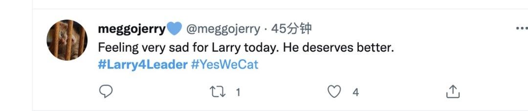 御猫larry(英国御猫Larry也竞选了首相？网友热烈支持，虽败犹荣)