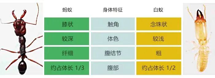 广东桑拿论坛(闷闷热热湿湿！广东“蒸桑拿”模式持续 广东天气预报)