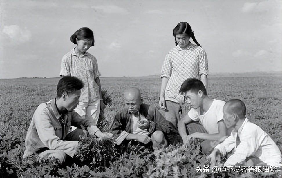 孙孟全(撬动中国粮油帝国：鲁花 莱阳首富孙孟全)