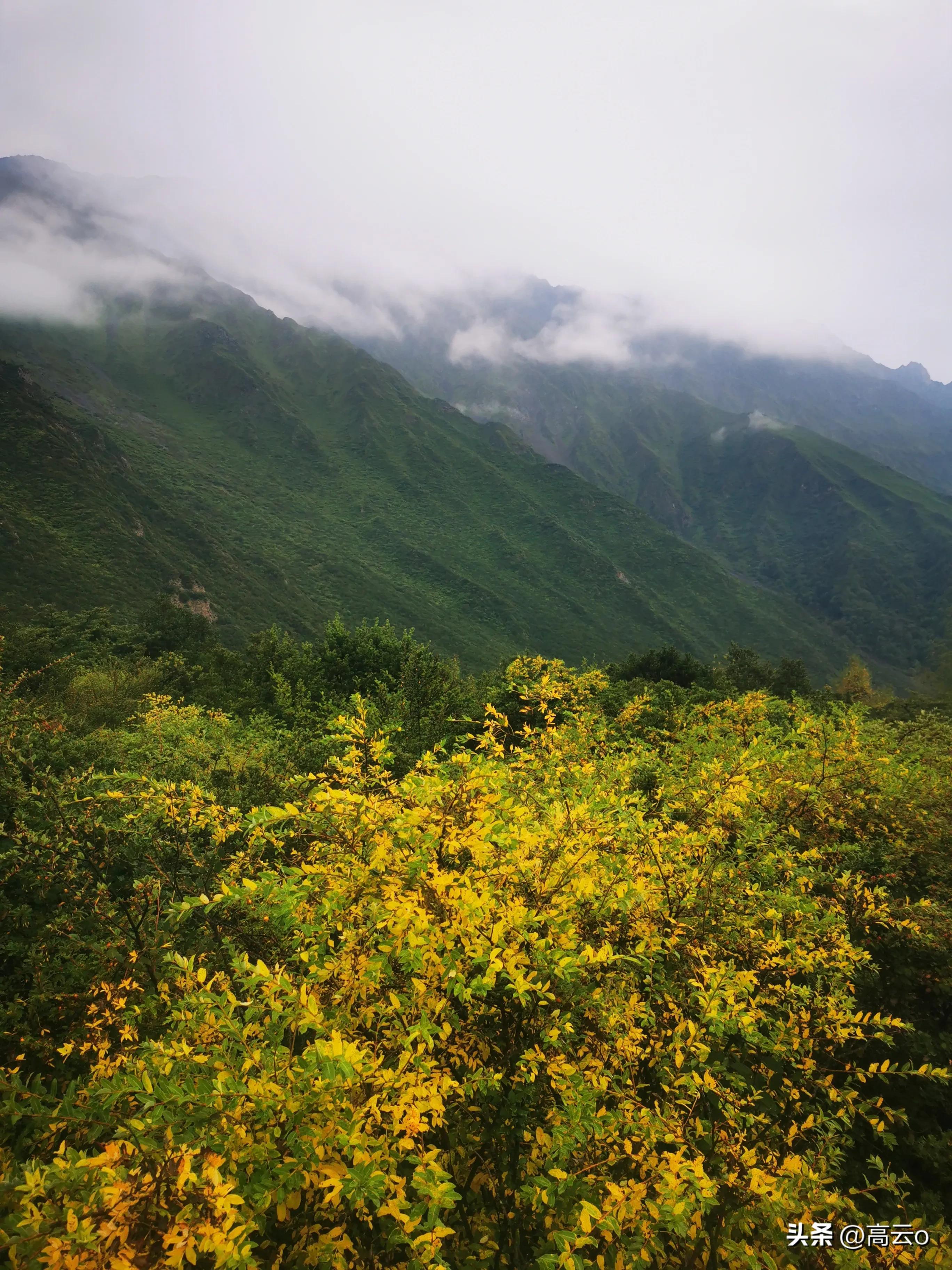 巴王海(巴王海（贡嘎山秘境）)