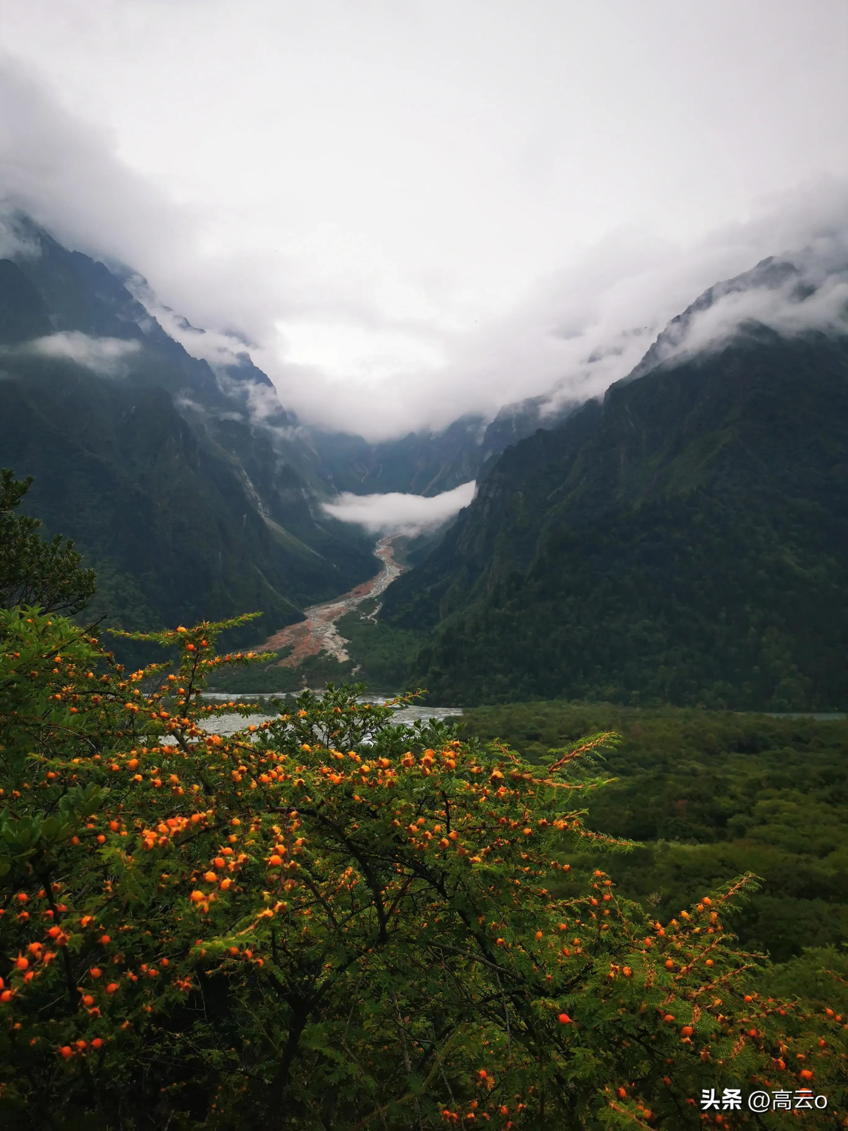 巴王海(巴王海（贡嘎山秘境）)