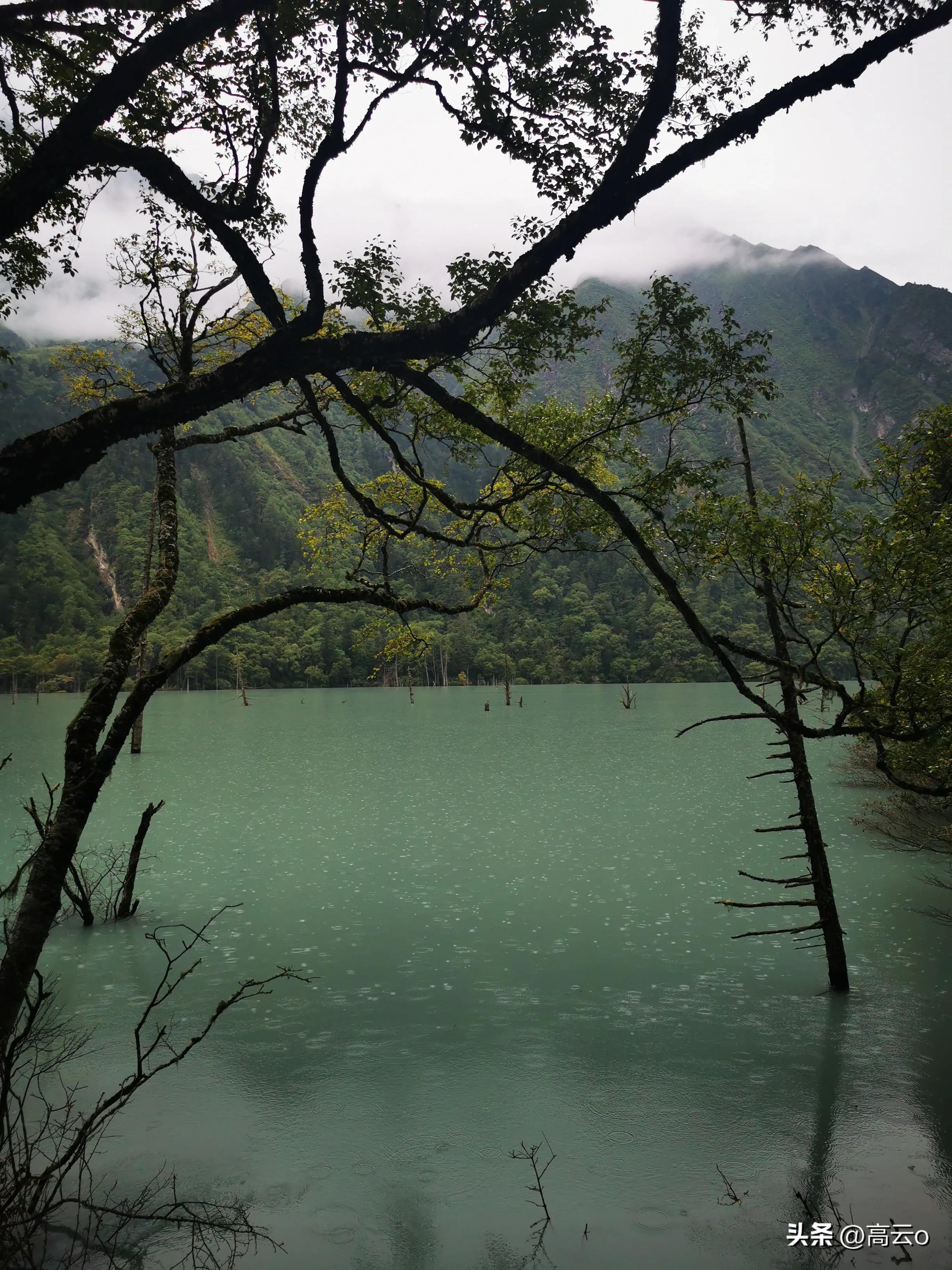 巴王海(巴王海（贡嘎山秘境）)