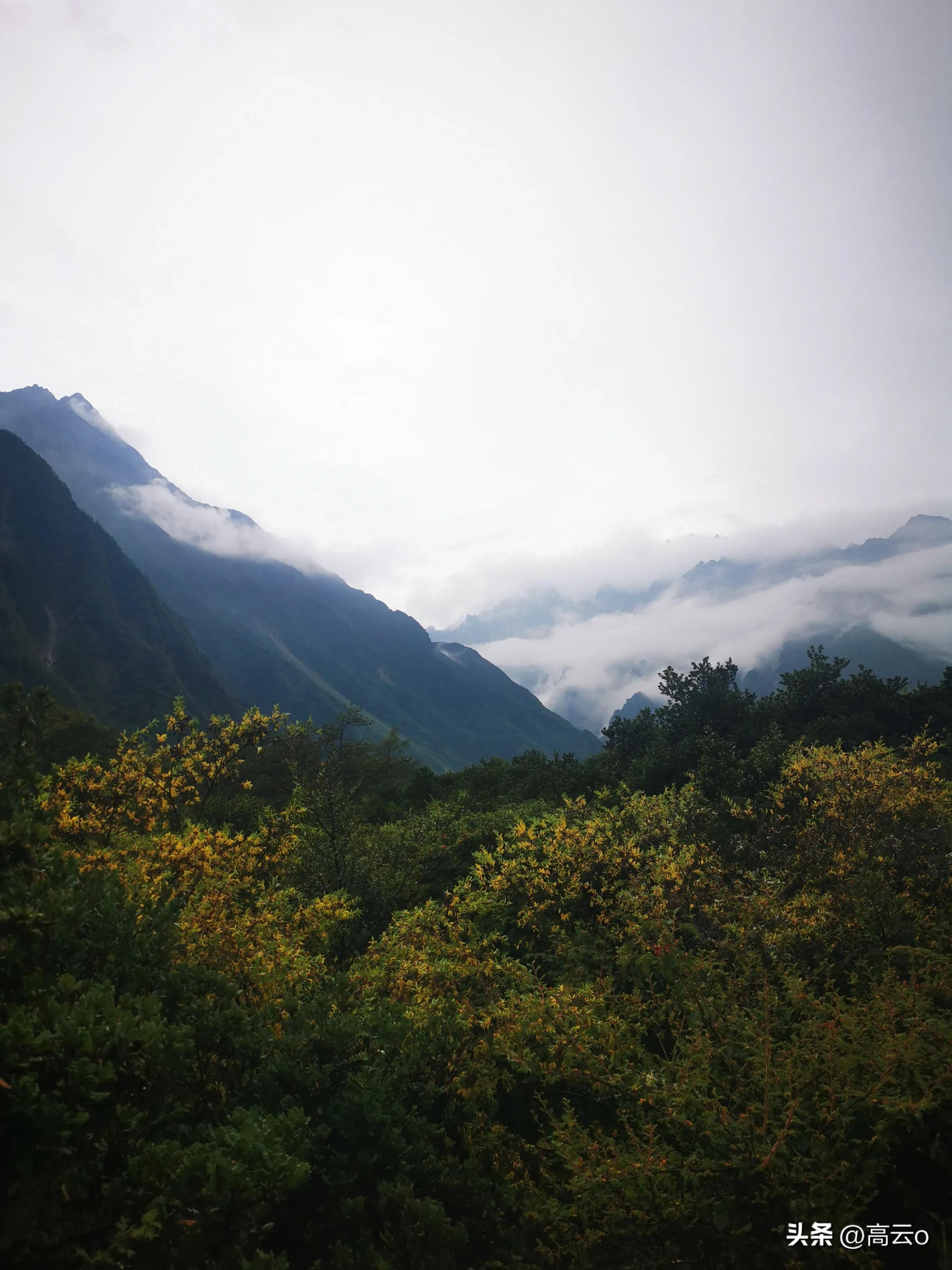 巴王海(巴王海（贡嘎山秘境）)