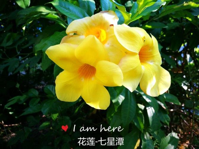 花莲七星潭(天堂般的台湾花莲之七星潭)