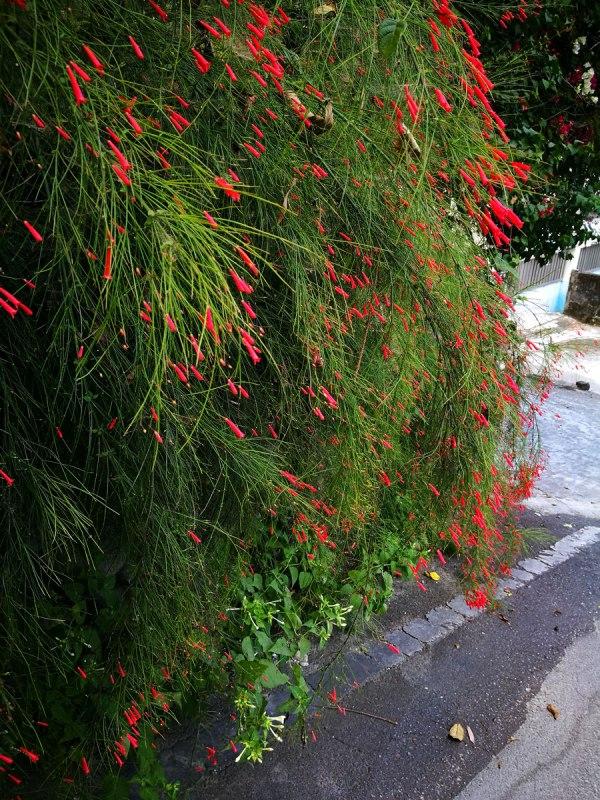 花莲七星潭(天堂般的台湾花莲之七星潭)