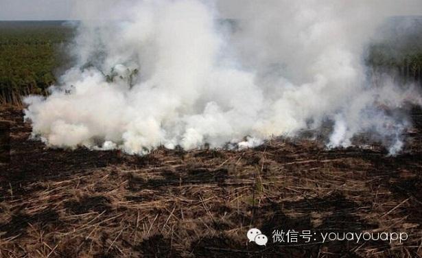 愤怒的地球(愤怒的地球：大自然不可抵挡之力)