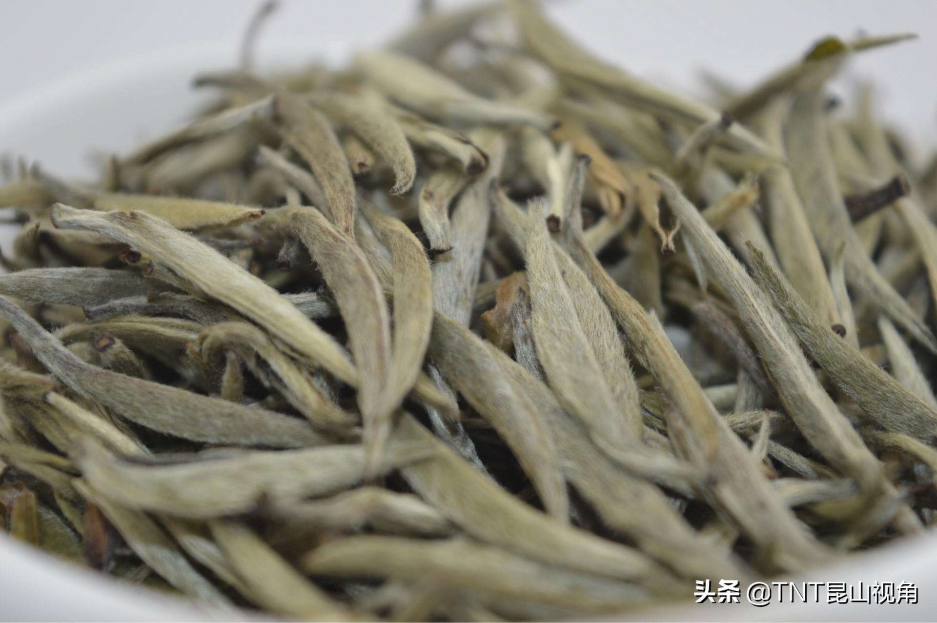 白茶是什么茶(白茶是什么茶？是绿茶吗？)