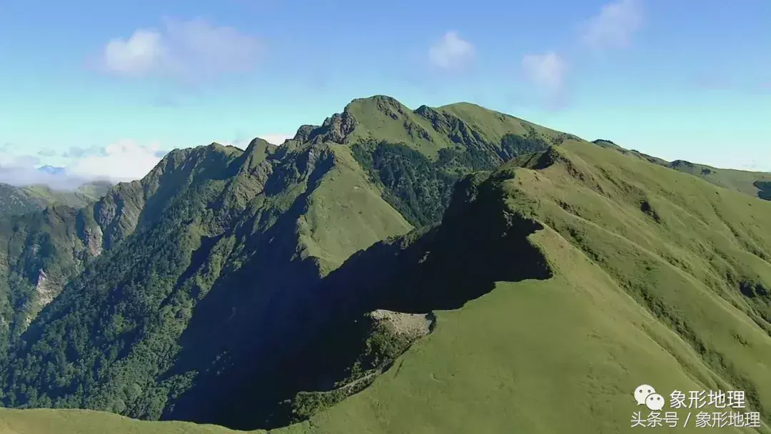 台湾高山茶(台湾的高山茶)