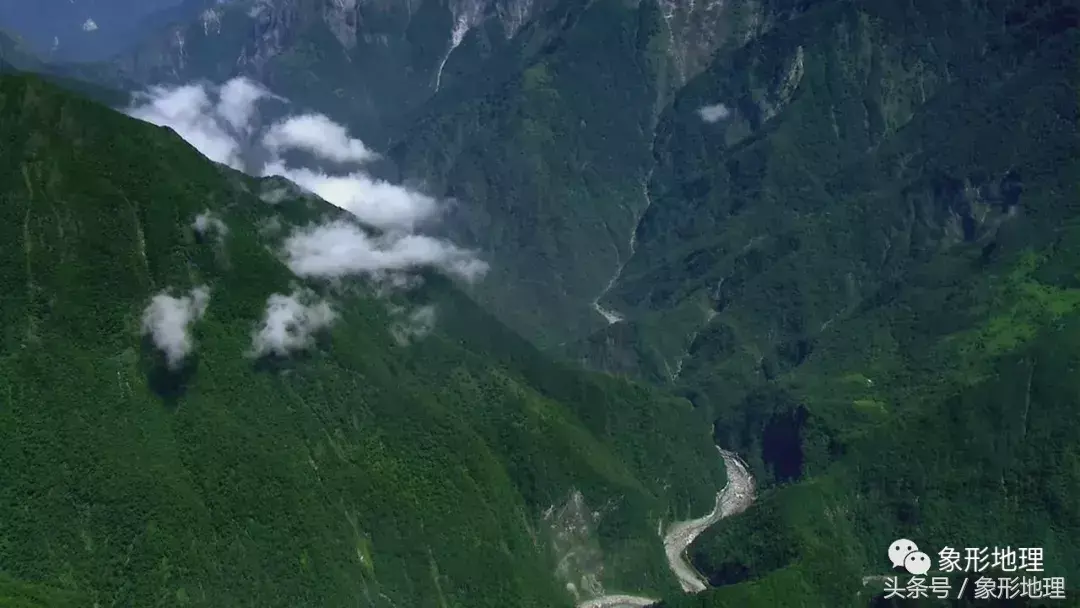 台湾高山茶(台湾的高山茶)