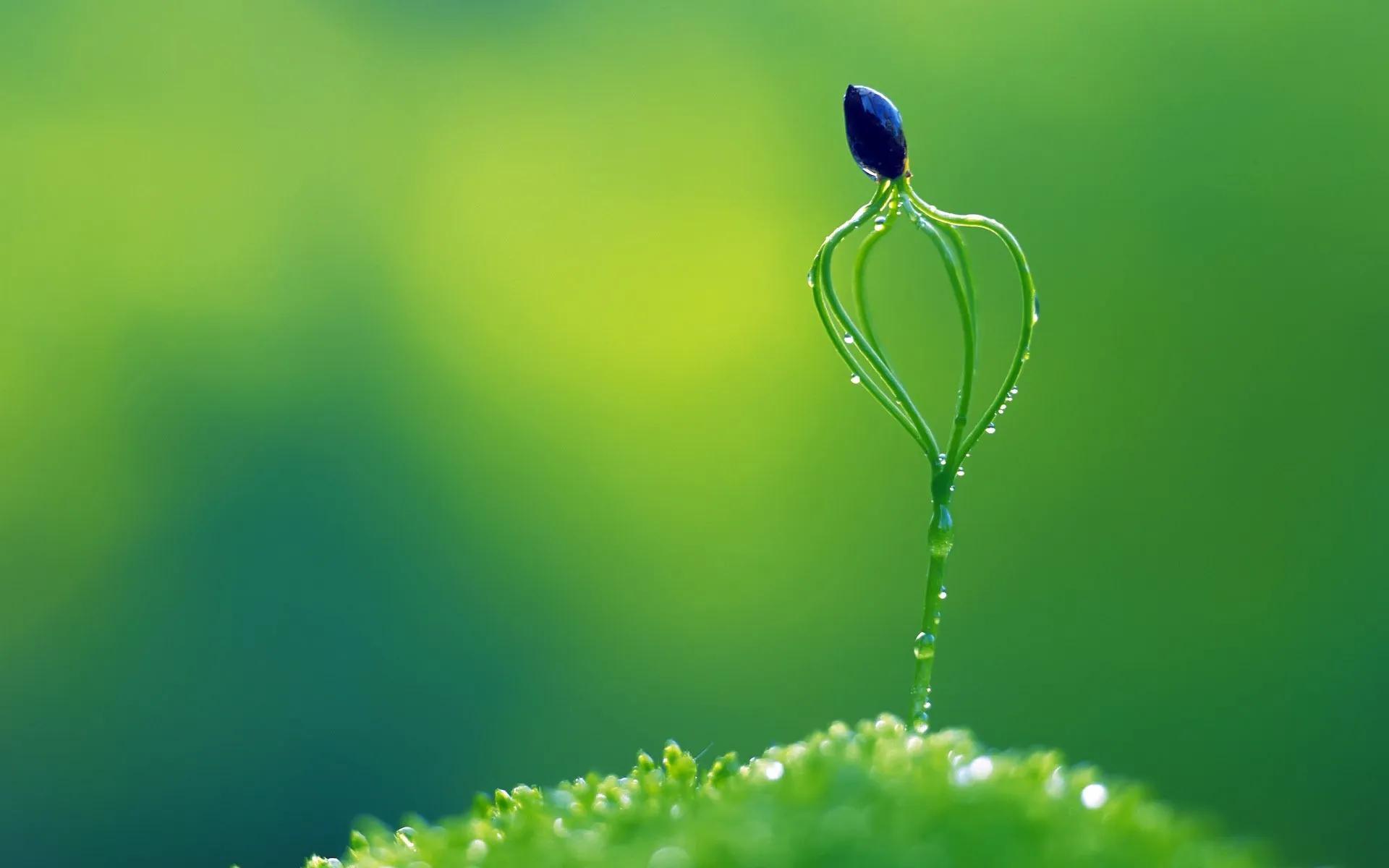 细细的雨(故乡的风，故乡的雨)