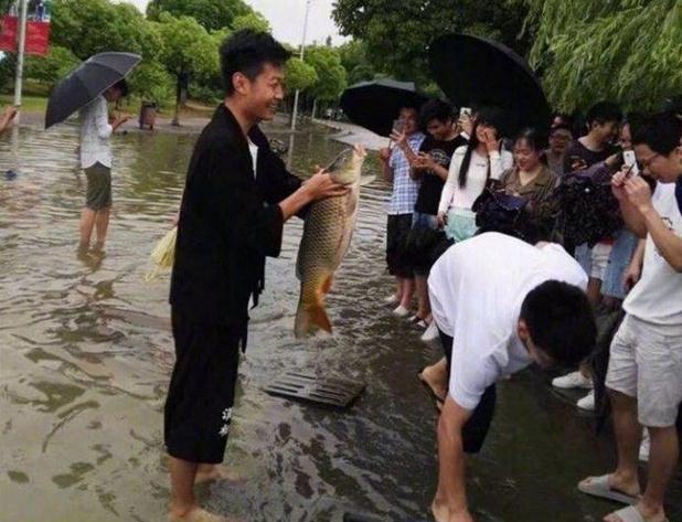 南京全城暴雨(南京全城暴雨 南京暴雨全城看海摸鱼)