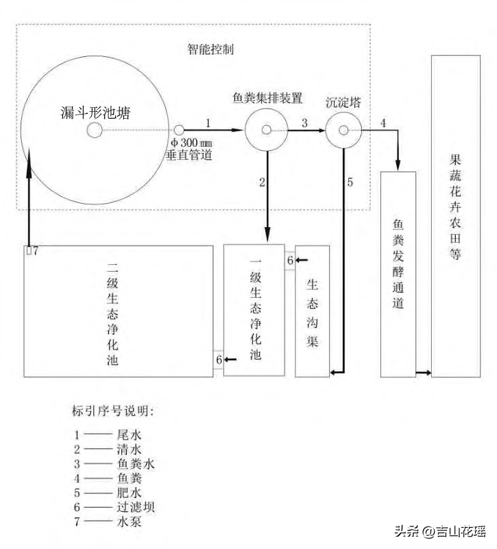 池塘养鱼(池塘养鱼废水底排污生态治理模式探讨)