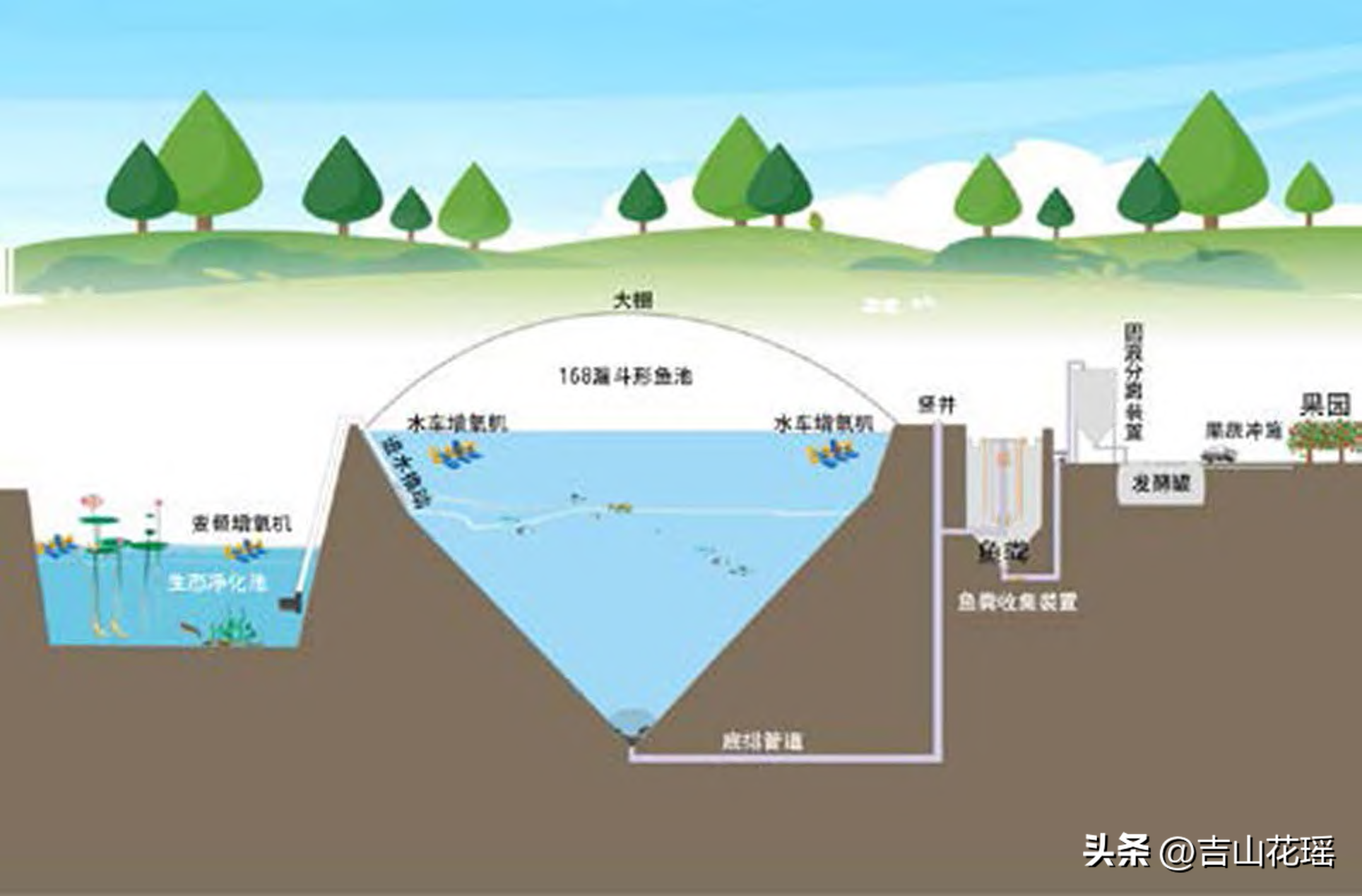 池塘养鱼(池塘养鱼废水底排污生态治理模式探讨)