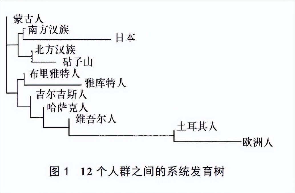 忽必烈汗(最新数据：忽必烈汗的元上都砧子山墓地古代DNA信息)