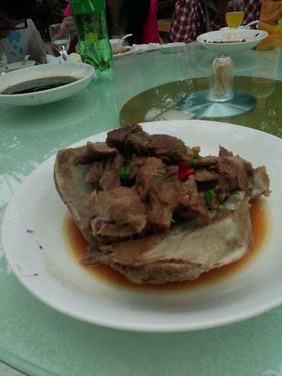 鳄鱼肉怎么吃(鳄鱼肉怎么吃 鳄鱼肉的食用方法大推介)