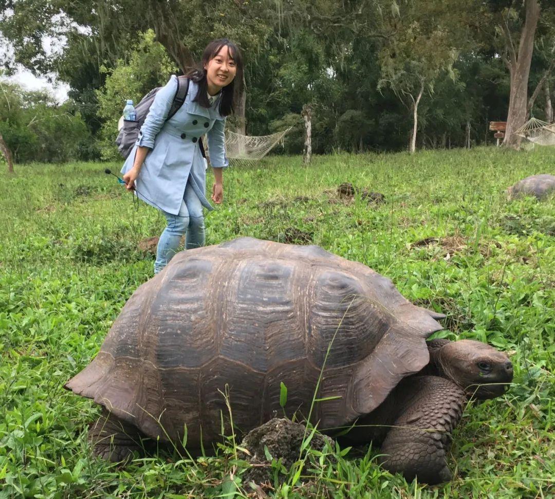 动物的性行为(女博士研究100种动物性行为：反观人类该如何爱、如何活？)