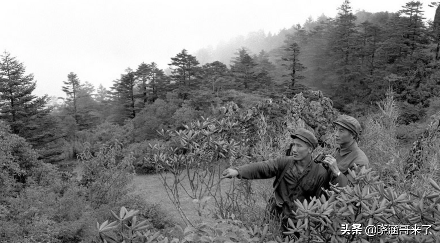 野人之谜(神农架野人之谜，民间千人目击，官方出动调查队大规模搜索)