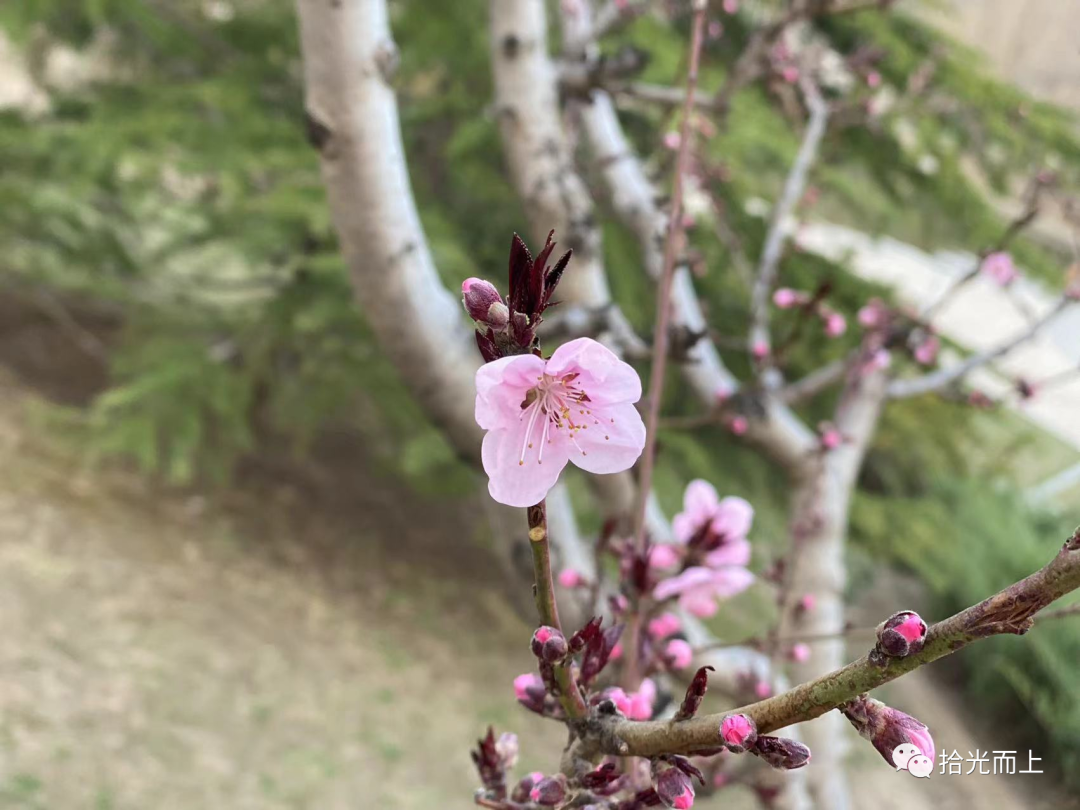 赛狗屁(红配绿，赛狗屁？论红绿搭配如何扮出美感)