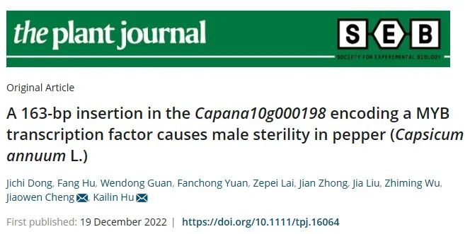 胡开林(华南农业大学胡开林/程蛟文团队在辣椒雄性不育研究取得新进展)
