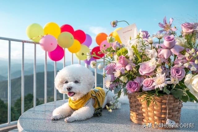 女人这一生，哪些“冤枉钱”没必要花？