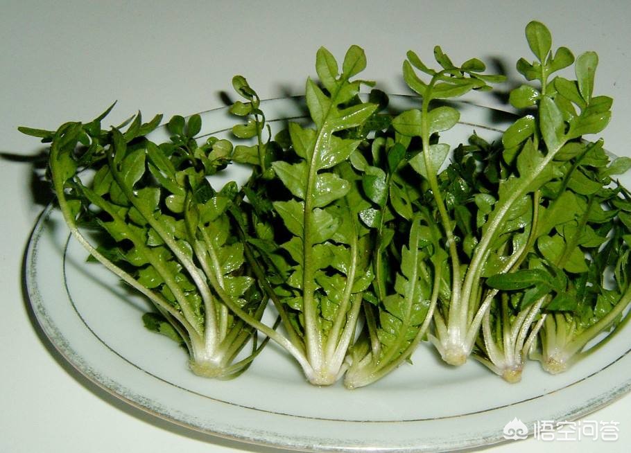 孕早期吃了荠菜饺子怎么办？