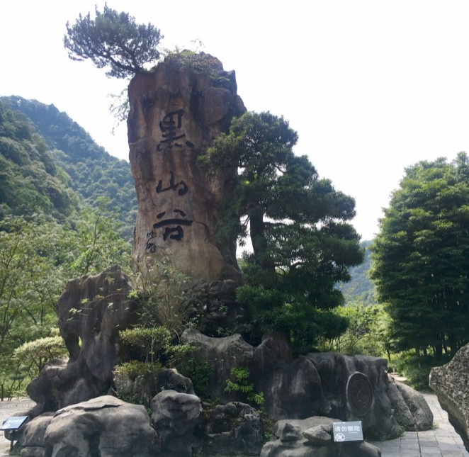 黑山谷一日游(重庆万盛黑山谷｜避暑胜地｜负氧离子体验感爆棚)