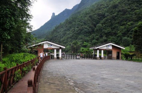 黑山谷一日游(重庆万盛黑山谷｜避暑胜地｜负氧离子体验感爆棚)