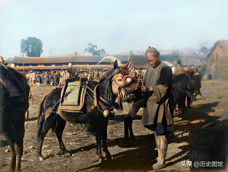 100年前的云南(老照片：120年前的云南，山川河流美如画，亚洲象与人和谐相处)