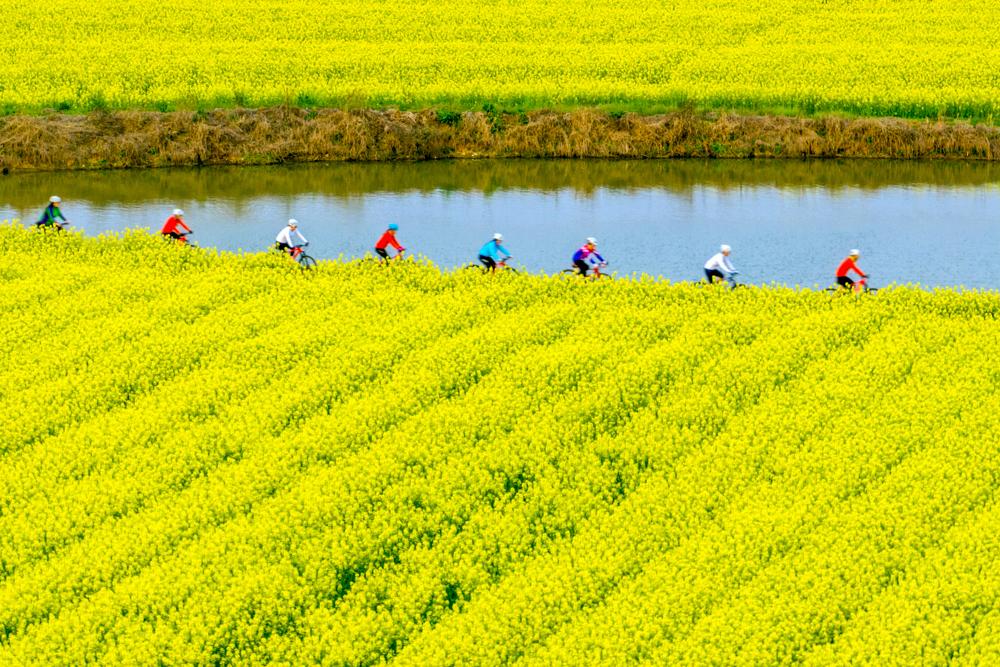 跟随春天的脚步去赏花(跟随春的脚步，去有花的地方)