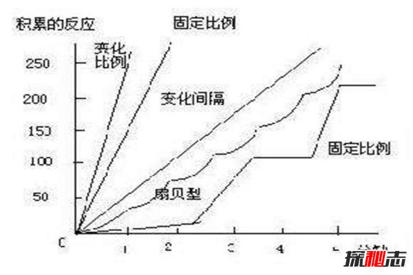 扇贝效应是什么?小心孩子的“得寸进尺”(家长必看)