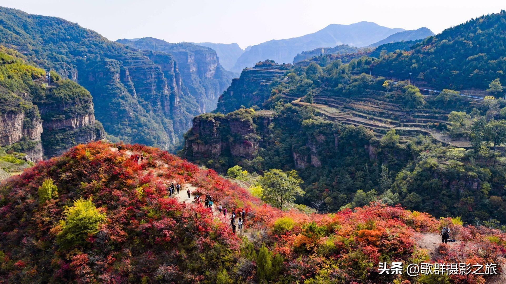 金秋红叶(林州太行大峡谷金秋红叶三天摄影采风路线安排)