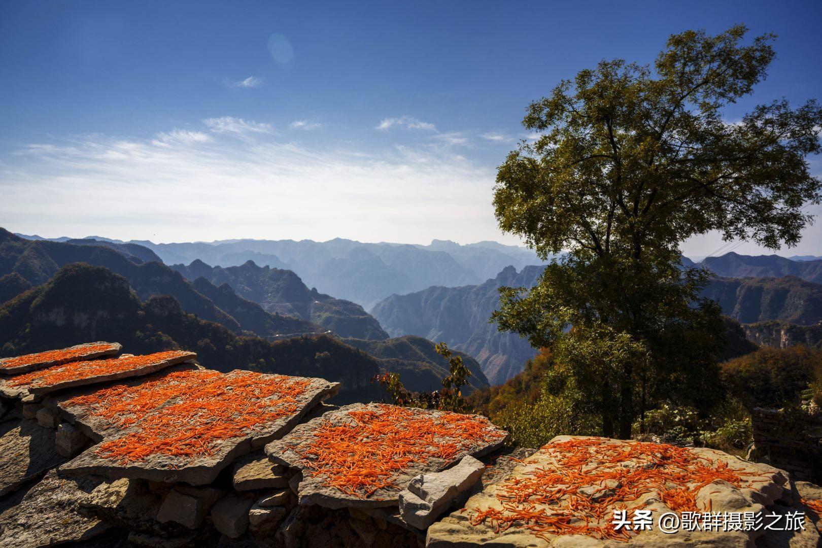 金秋红叶(林州太行大峡谷金秋红叶三天摄影采风路线安排)