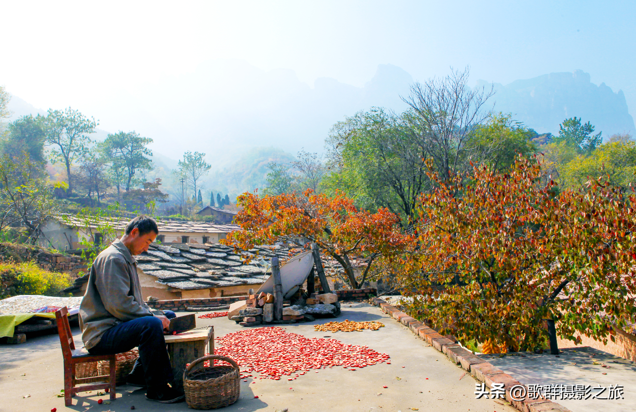 金秋红叶(林州太行大峡谷金秋红叶三天摄影采风路线安排)