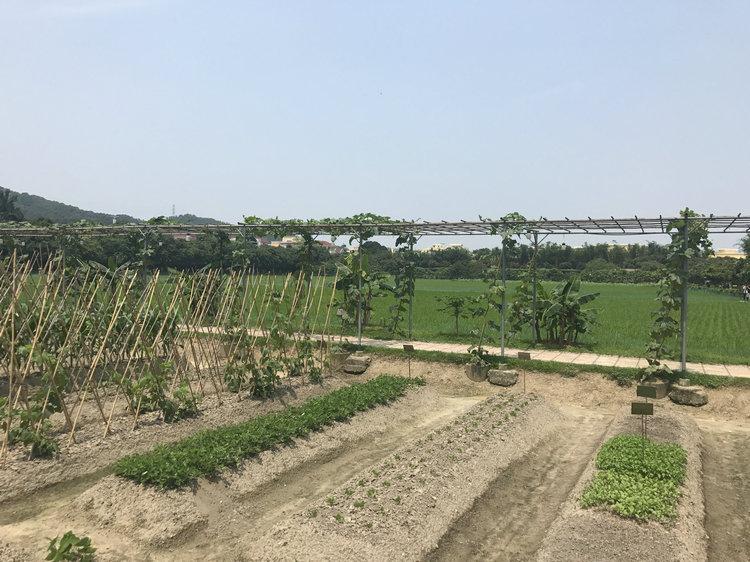 中山孙中山故居(广东省中山市 孙中山故居纪念馆游览)