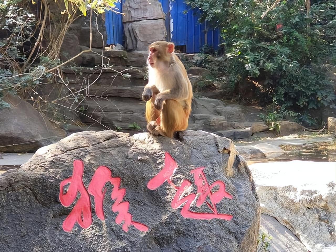 海南岛旅游(海南岛旅游景点有哪些？去逛这19个地方)