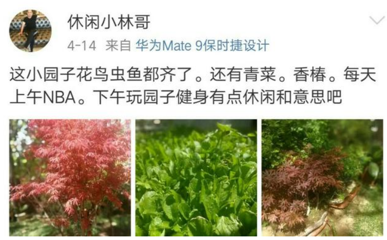 杨幂豪宅(杨幂晒豪宅，拿整个院子给老爸种菜养花，堪称娱乐圈一股清流)