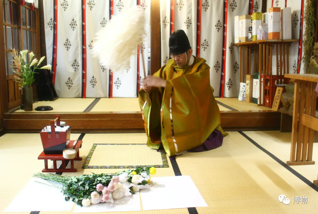 菊花图片祭奠亲人（祭奠白菊花）