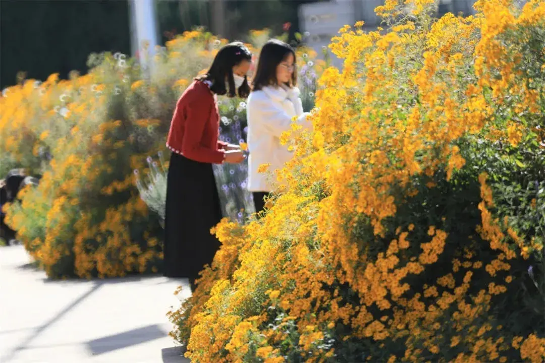 云南农业大学主页（国家级一流）