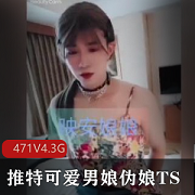 推特男娘伪娘TS精品视频合集