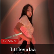 littlesulaa徐特立：颜值身材一线系列，娇柔反差婊玩法花里胡哨，Twitter视频合集507MB百度云下载